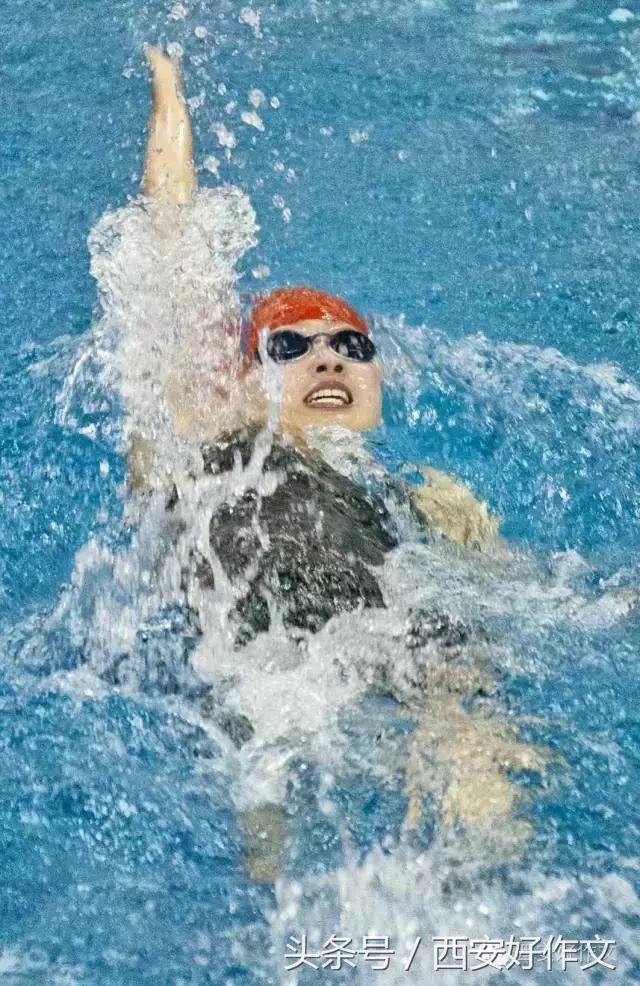 我是游泳小健将作文,描写游泳健将的作文