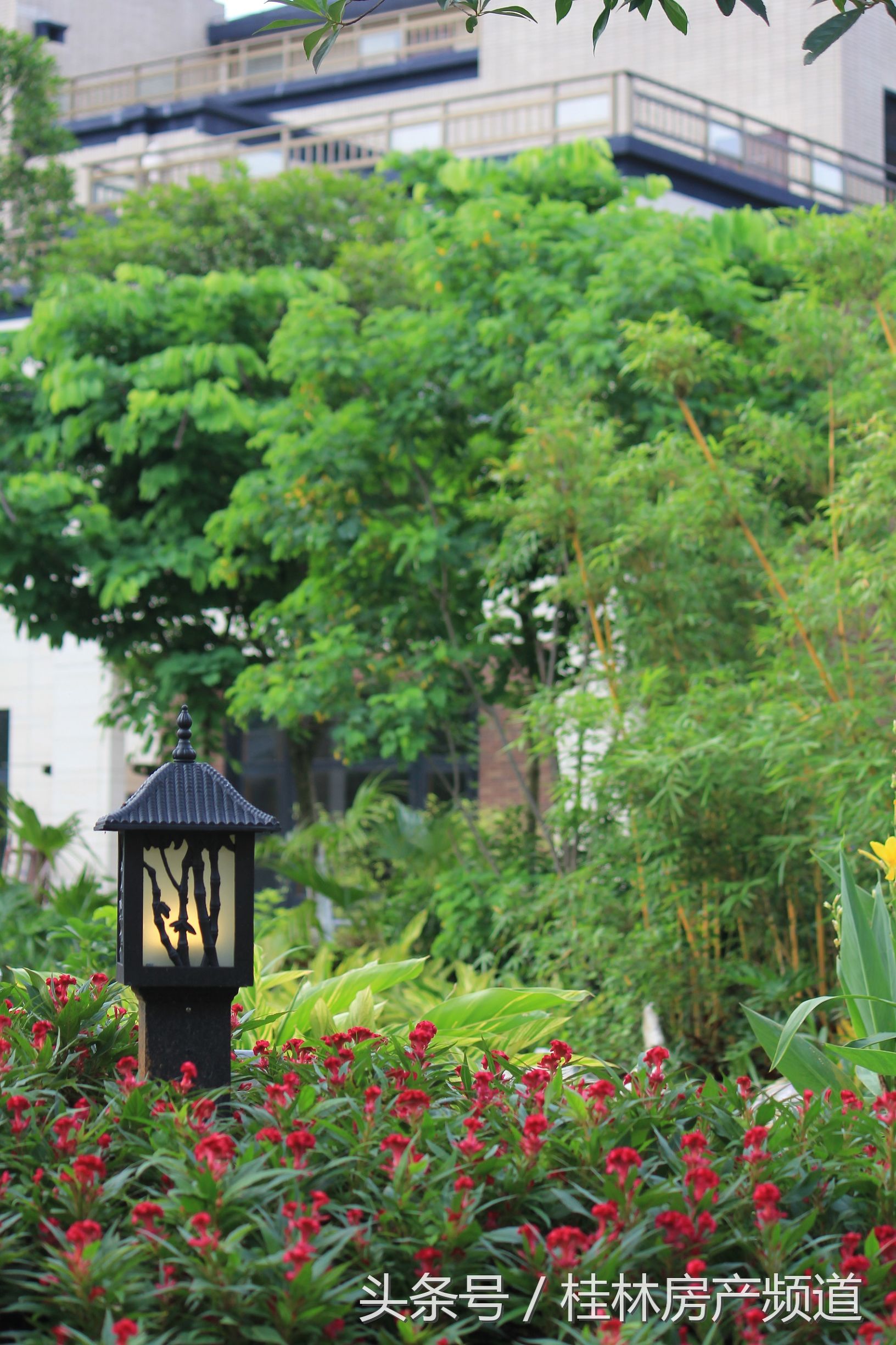 逃离城市寻找生活,远离城市的喧嚣寻找心灵的净土