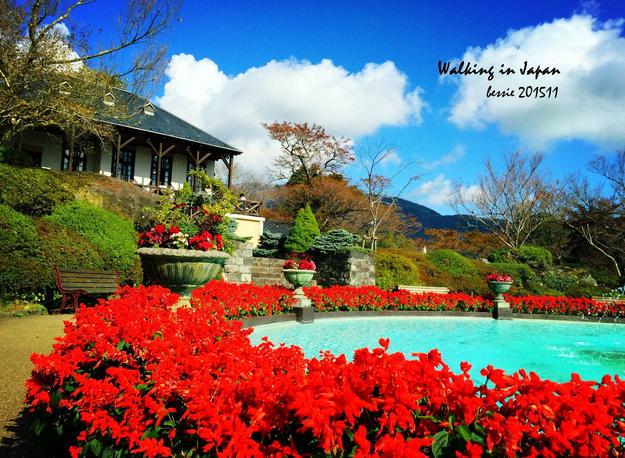 霓虹国秋日暴走之旅,漫步日本旅行游记