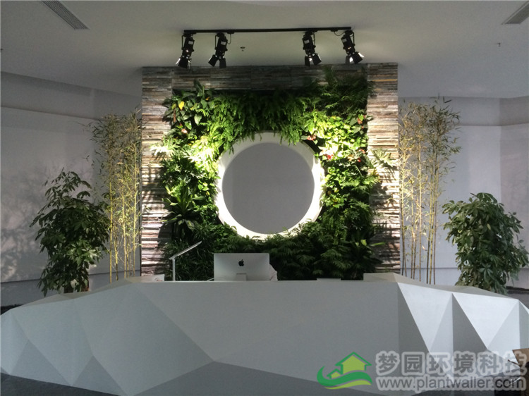 植物墙的弊端,植物墙实用吗