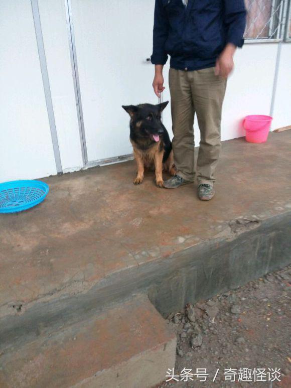 我在非洲工作的日子，给大家介绍下非洲的风土人情