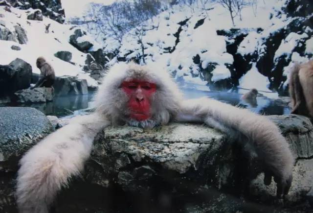 国内十佳温泉一扫冬季的寒冷,又到了泡温泉的季节