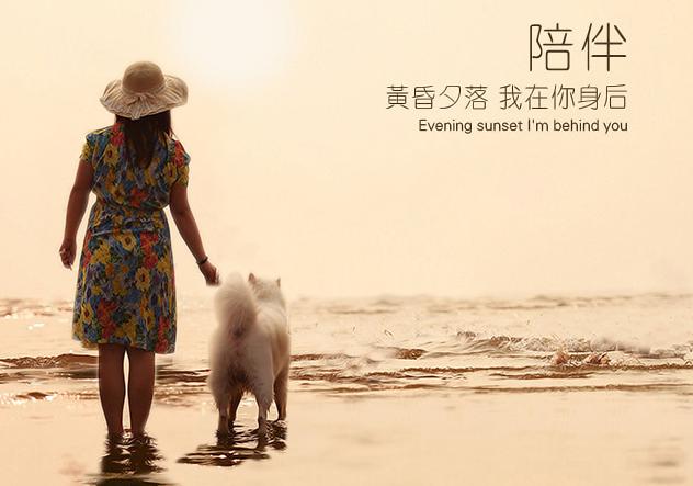 金毛老了眼睛也老,金毛老了以后有哪些疾病