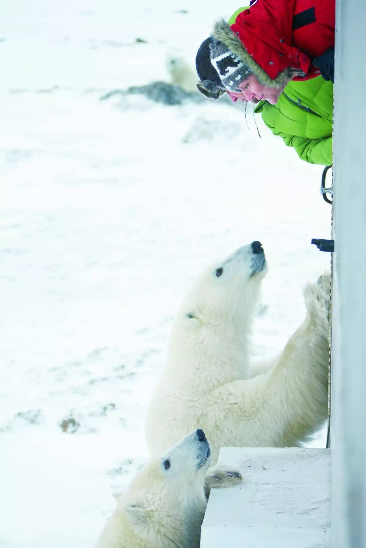 为什么这么多人要去加拿大,去加拿大最应该了解哪些事情