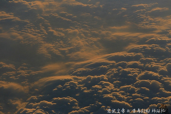 太平洋小小岛国帕劳貌似已被中国人全面占领