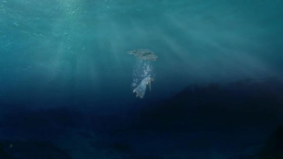 电脑里存了很久的东西,那些用情至深的人儿谁让你柔肠寸断