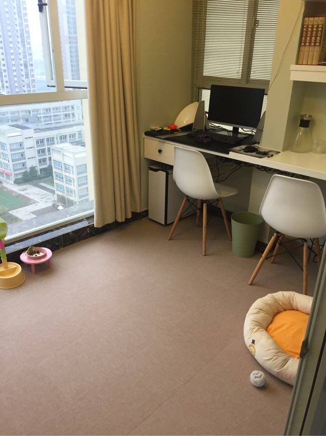 小姨子婚房装修,小姨子家装修房子