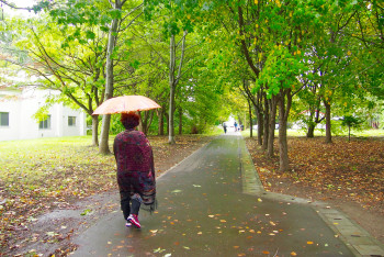 初秋日本快步东京，慢行北海道，泡汤美食8日
