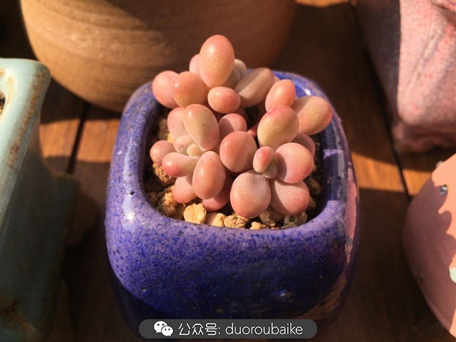 谈谈我的看法和感想,谈谈我对自己的看法