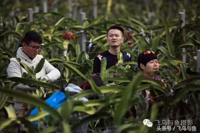 最好的旅程是在家陪伴,最好的旅行是陪伴