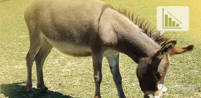 朋友圈卖的阿胶糕是自己熬的吗,朋友圈的阿胶糕敢买么