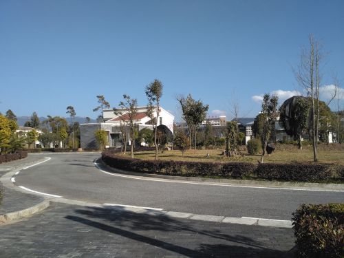 疑似小米官方定价失误红米手机3体验评测