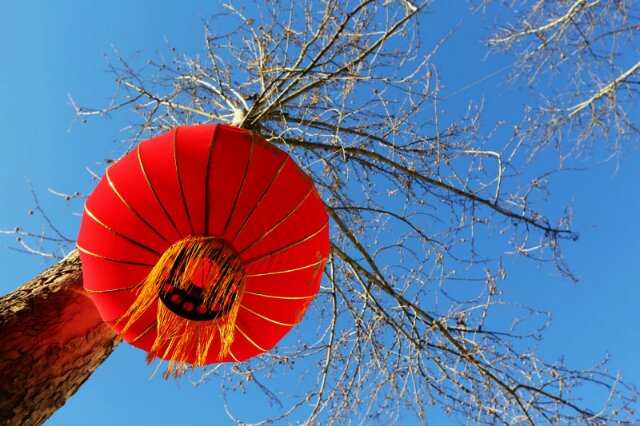 解放军306医院除夕之夜倒计时与正计时