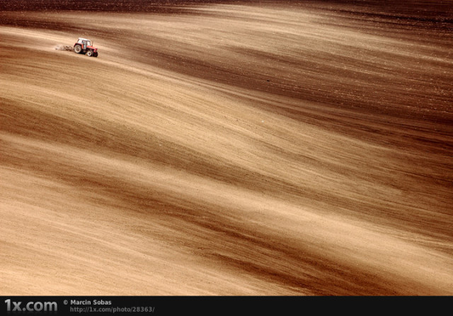 常用的十种构图是哪些,作品构图有哪些