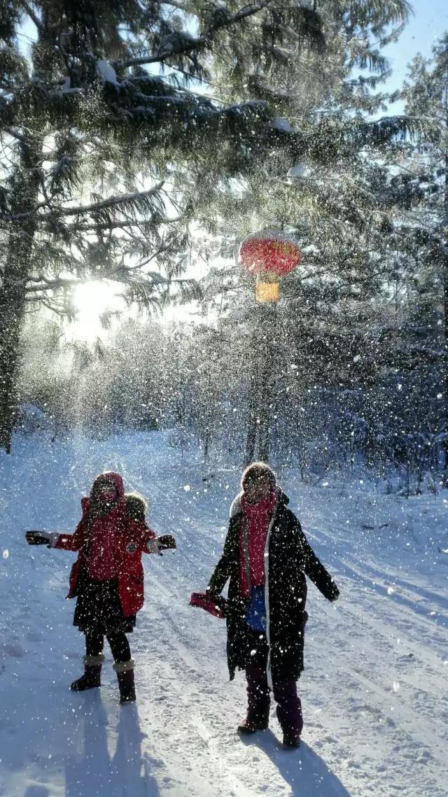 cmpa鎵嬫満鎽勫奖娆h祻,cmpa涓滆帪鍧庢櫘