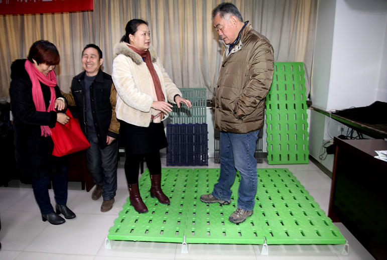 畜牧养殖漏粪板,养殖场专用漏粪地板