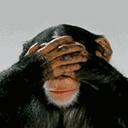 俩俩相忘陈孝萱,陈孝萱分手原因