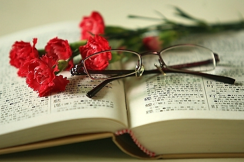 春节“嗨翻天”学习不落下！假期如何高效学习CPA？