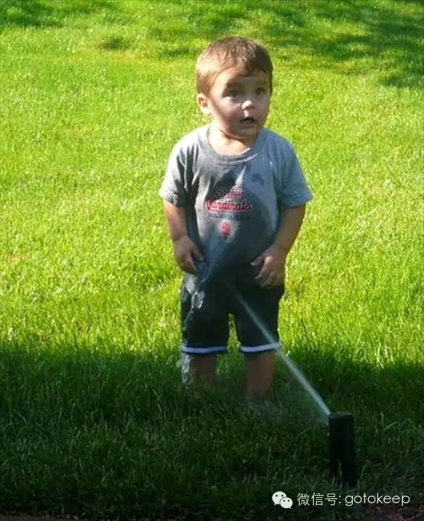 八块腹肌的小怪兽,腹肌小怪兽