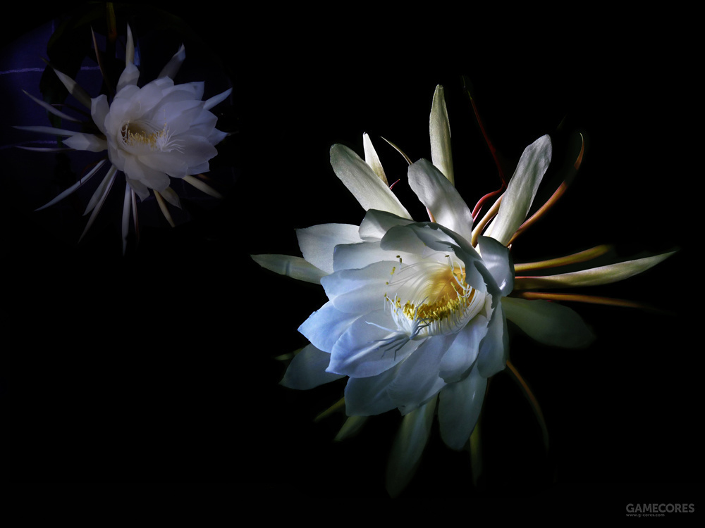 《刀剑乱舞-花丸-》看起来是一部幻想作，实际上里面也埋了不少历史梗