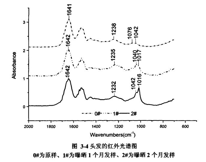 头发为什么会分叉断裂,头发为啥会分叉干枯
