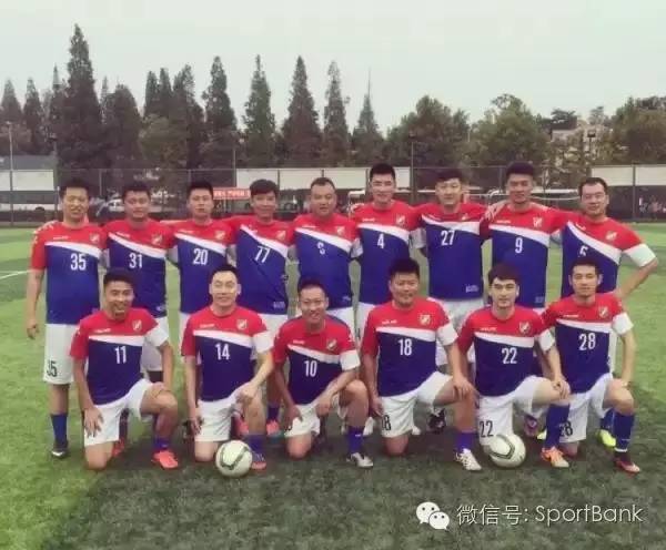 浙江绿城足球宋卫平打假球,宋卫平绿城足球完整版