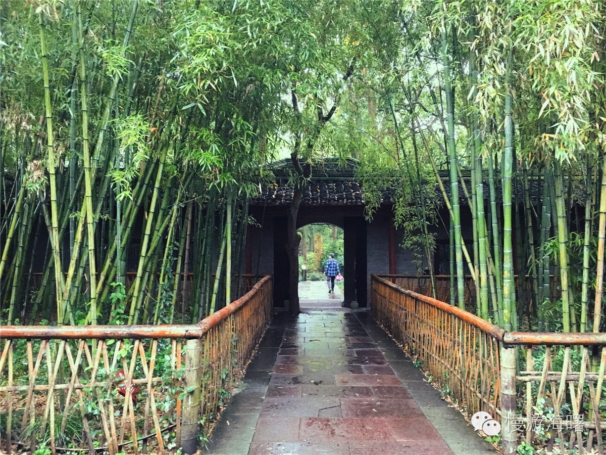 新宁波人游海曙，看完觉得自己这么多年宁波白待了！有奖征集作品02