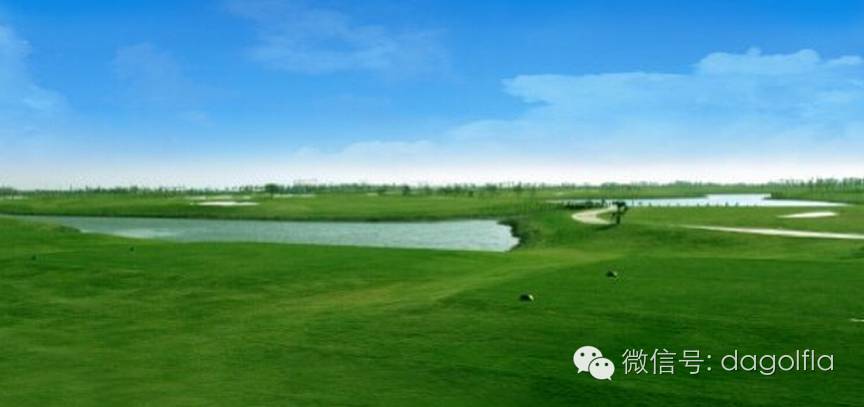 高尔夫优惠团购99元直播,国际高尔夫订场
