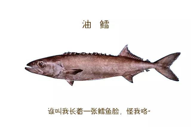 槌曢奔鎬庝箞涔版渶濂藉悆 (鎬庢牱涔伴硶楸兼渶濂藉悆)