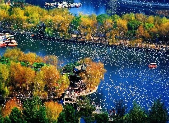 十一月南京去海南机票价格,11月去南京最便宜的机票