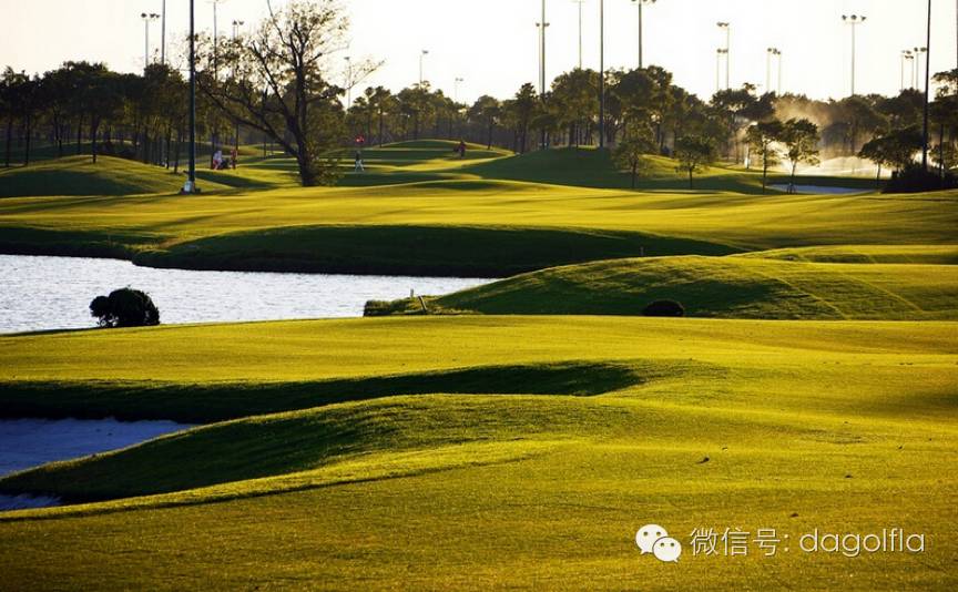 高尔夫球优惠活动,高尔夫挥杆练习场团购