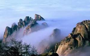 青岛市北崂山哪的教育好一点,青岛崂山最好的国际学校