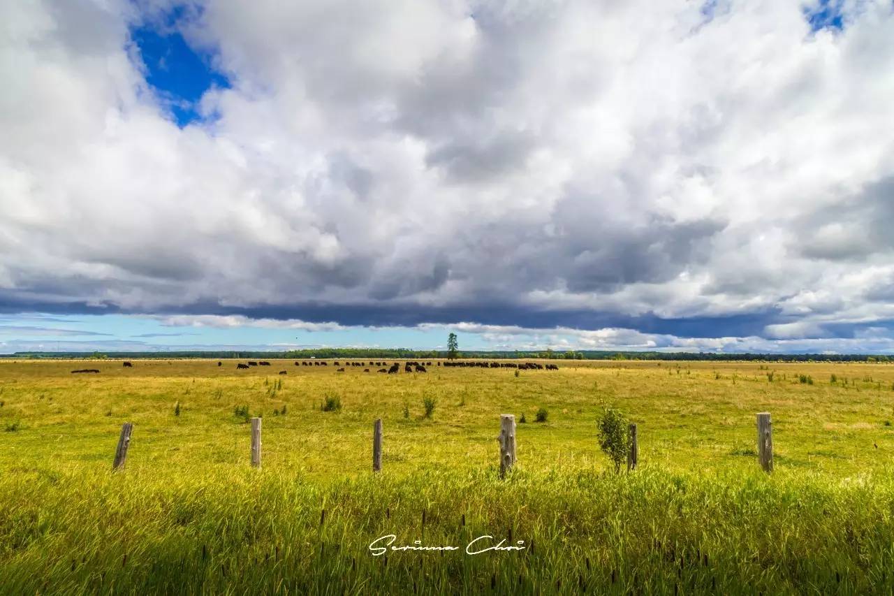 琛屾憚鍗冨北涓囨按鏁欑▼,琛屾憚鏀荤暐