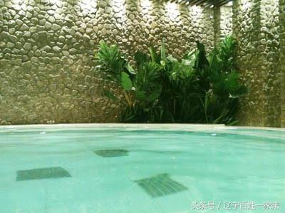 沈阳游泳洗浴自助餐一体的场所,沈阳十大温泉洗浴