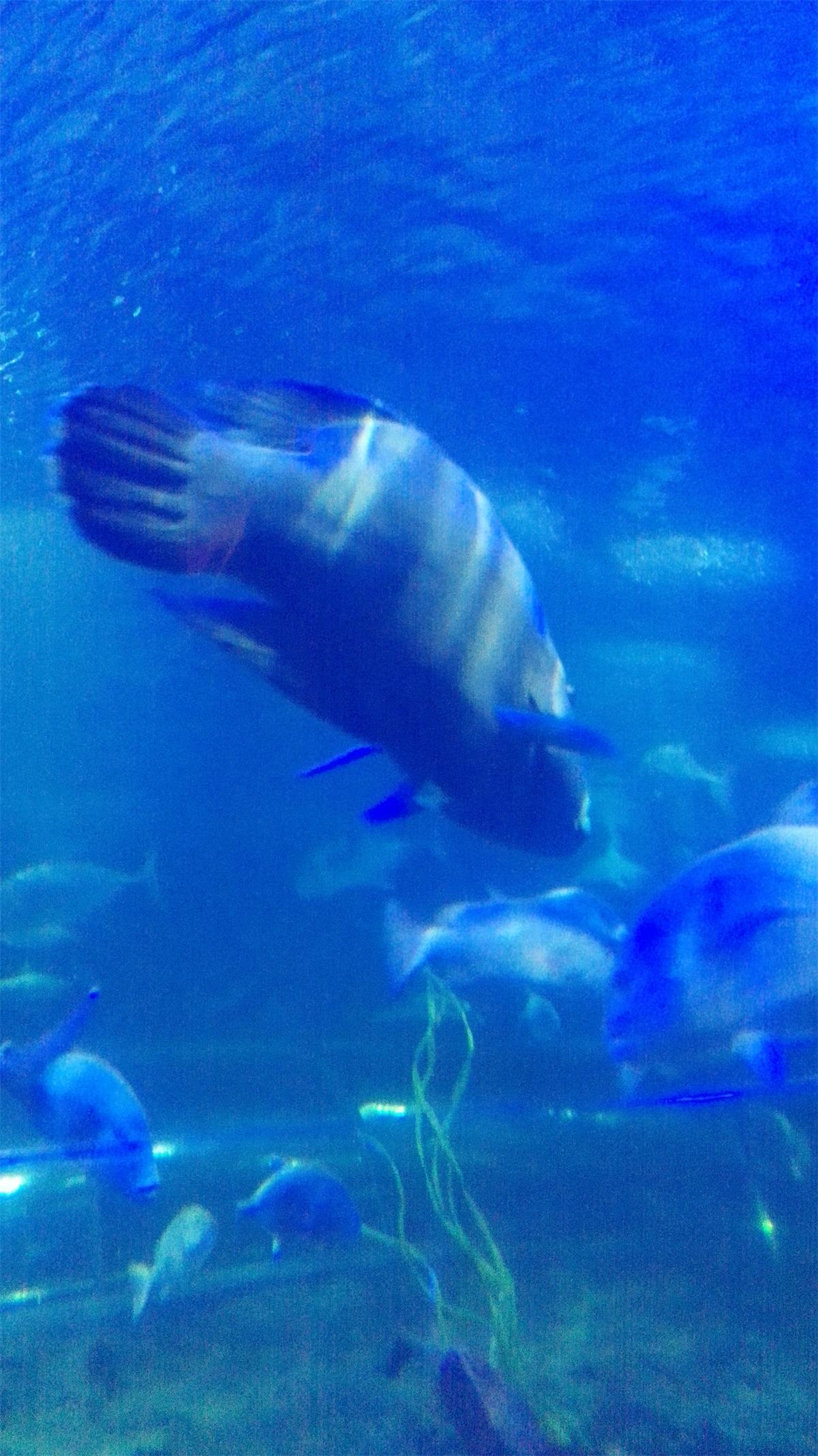 5天4夜玩转越南芽庄,越南芽庄90天