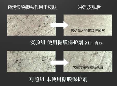 抗污染面霜,熬夜抗氧化面霜测评