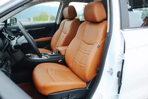 老树开新花七绝,老树开新花枯树发新芽