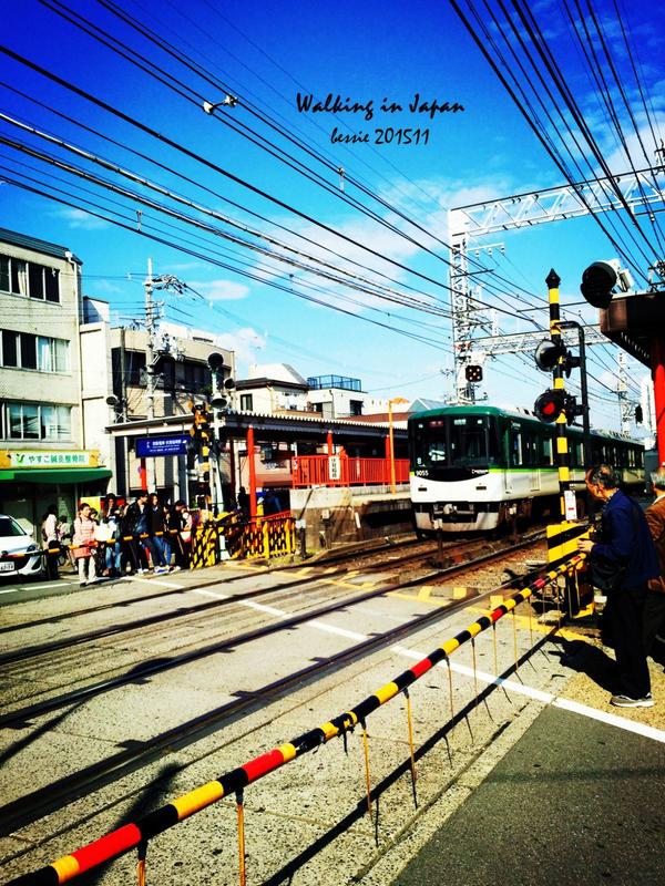 霓虹国秋日暴走之旅,漫步日本旅行游记