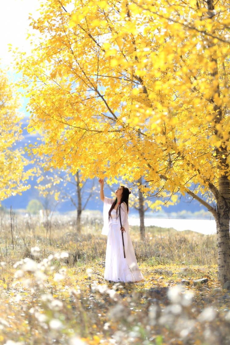 我在秋天等你是什么歌,我在秋天等你美到心碎散文