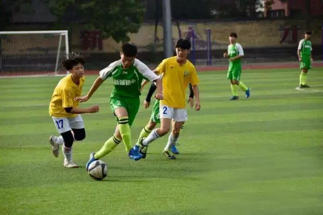 靳三涛、文新红丨花落舜乡