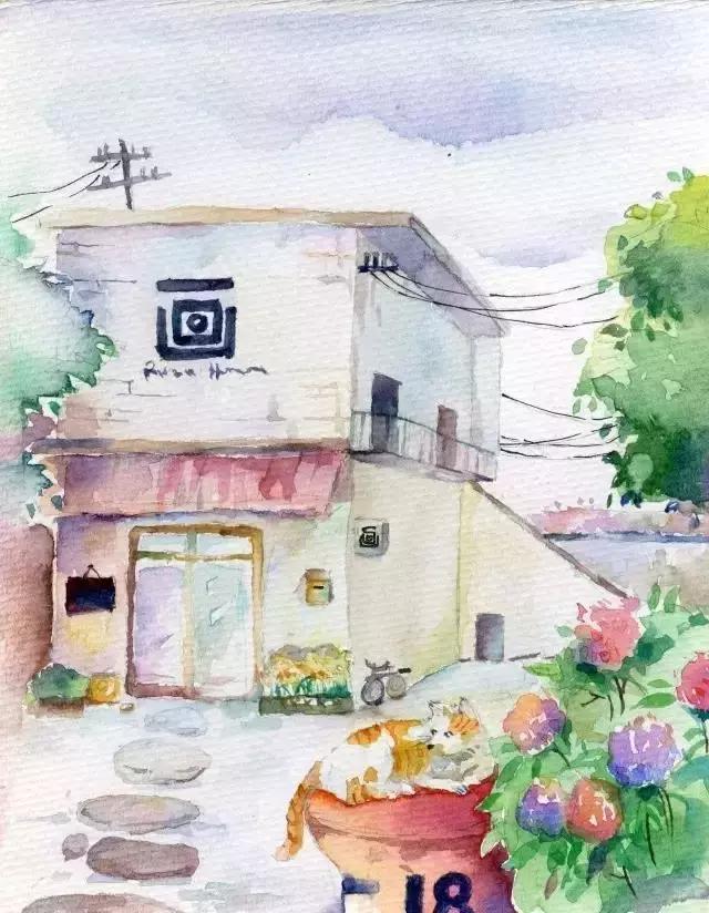 摄影写真排名前十名,摄影十大品牌排行榜前十名