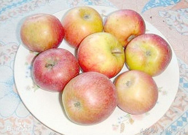 中国地理标志大会视频,国家地理标志产品官方采访