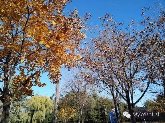 全面升级nubiaZ11miniS或许是最好的一代小牛