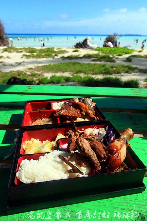 帕劳海底鲨鱼图片大全,帕劳海洋奇观之谜