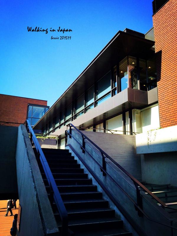 霓虹国秋日暴走之旅,漫步日本旅行游记