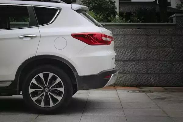 老树开新花七绝,老树开新花枯树发新芽