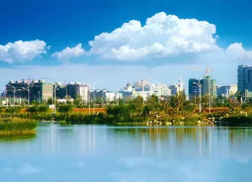 只有新疆人才能看懂的视频,只有1%的人才能看懂的东西