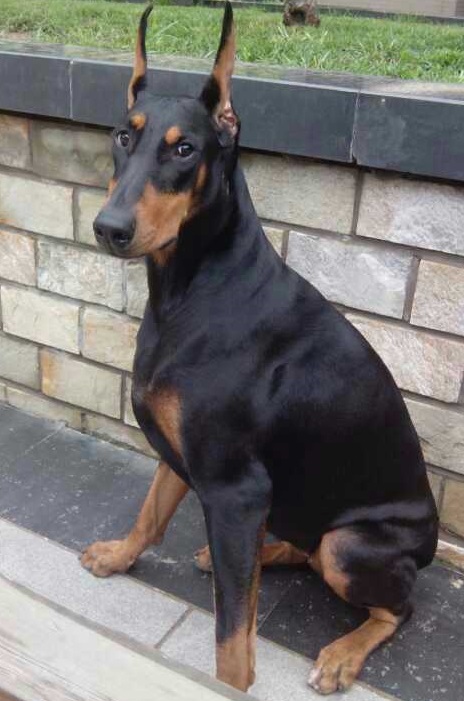 分享产房喜悦,分享产房故事