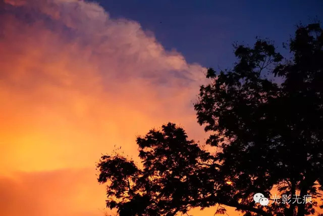 放慢脚步一起看世界,放慢脚步一起赏秋