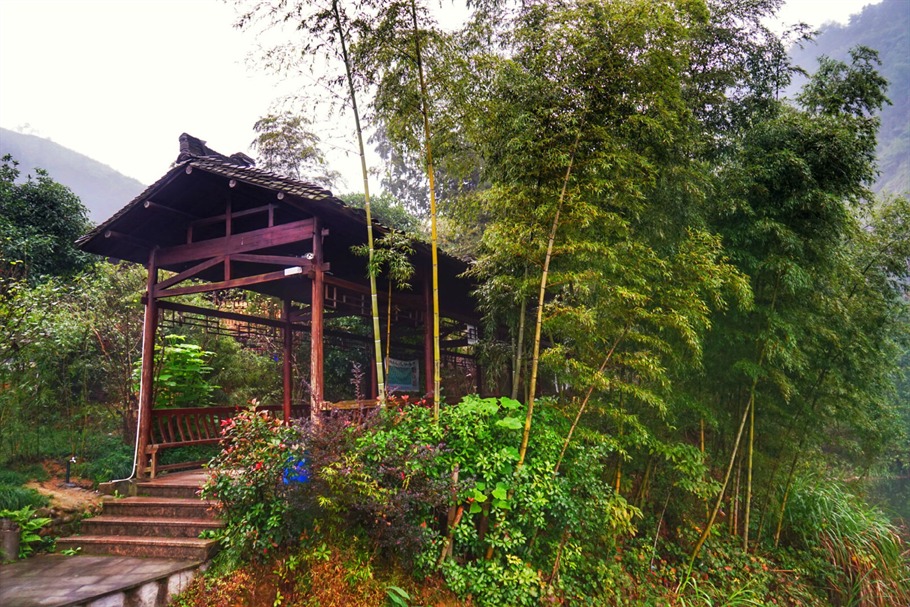 江西九仙湖风景区,江西九仙湖介绍